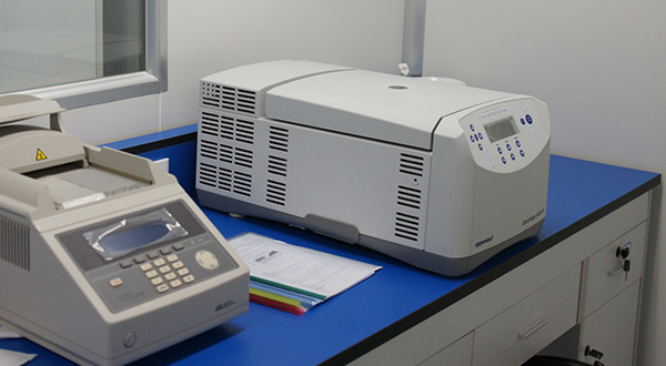 天津亲子鉴定机构在什么地方,天津亲子鉴定如何办理